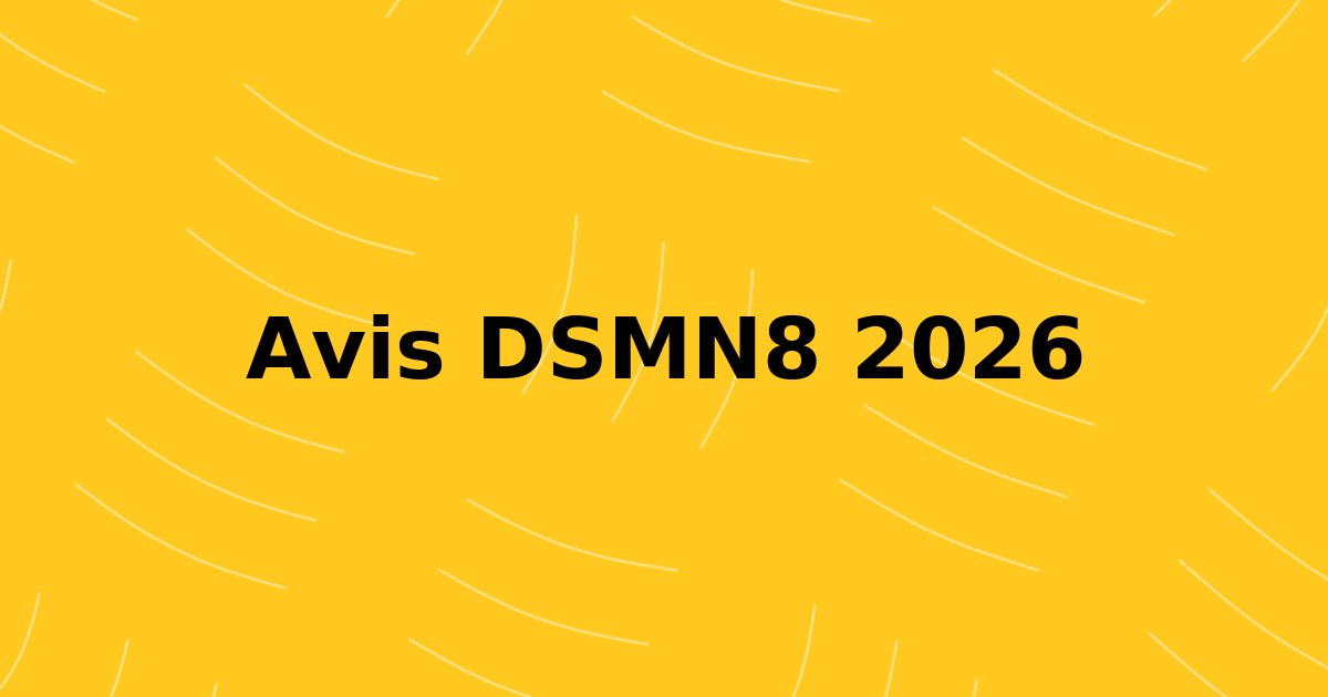 Avis DSMN8 2026: Caractéristiques, prix et alternatives